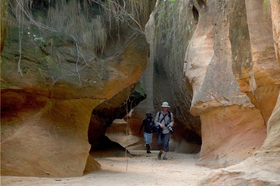 Les 6 curiosités naturelles de Madagascar