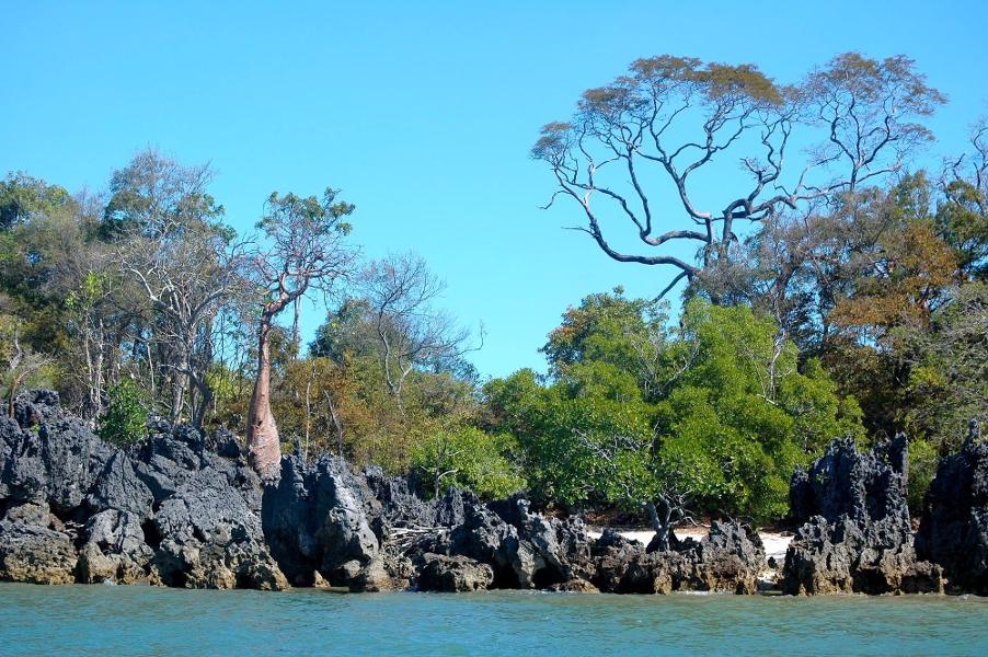 Rejoindre un voyage de groupe organisé par Détours Madagascar